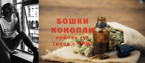 PSILOCYBIN Бронницы