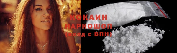 PSILOCYBIN Бронницы