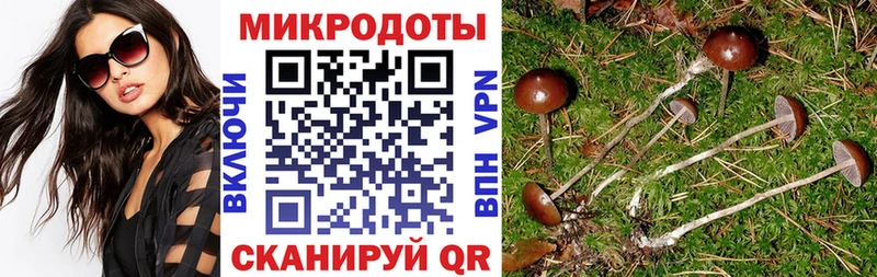 закладка  Гремячинск  Псилоцибиновые грибы Magic Shrooms 