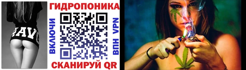 Шишки марихуана марихуана  наркошоп  Гремячинск 